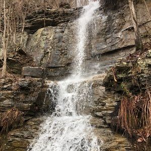 Meet your Posher, Amira